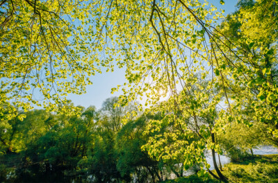about us natural environment